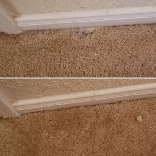 Carpet Stretching and Repair Results