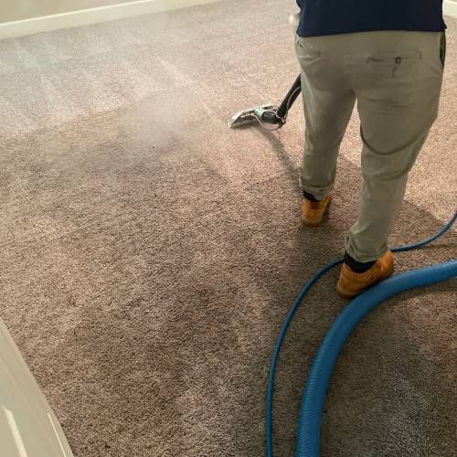 Carpet Cleaning Results 2