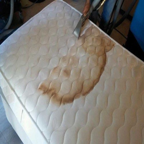 Mattress Cleaning Results