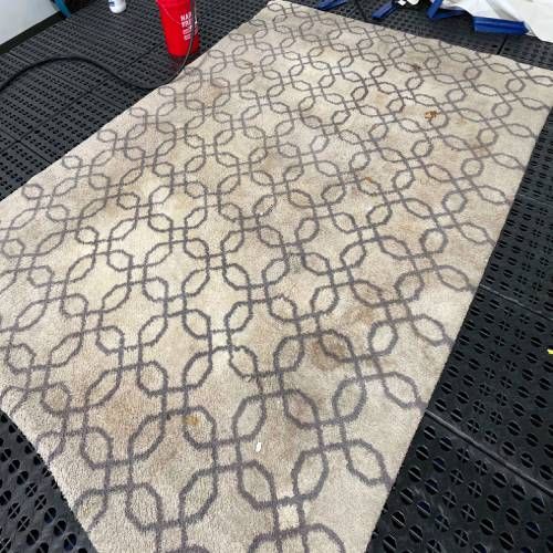 Area Rug Cleaning Rosharon TX Results 4