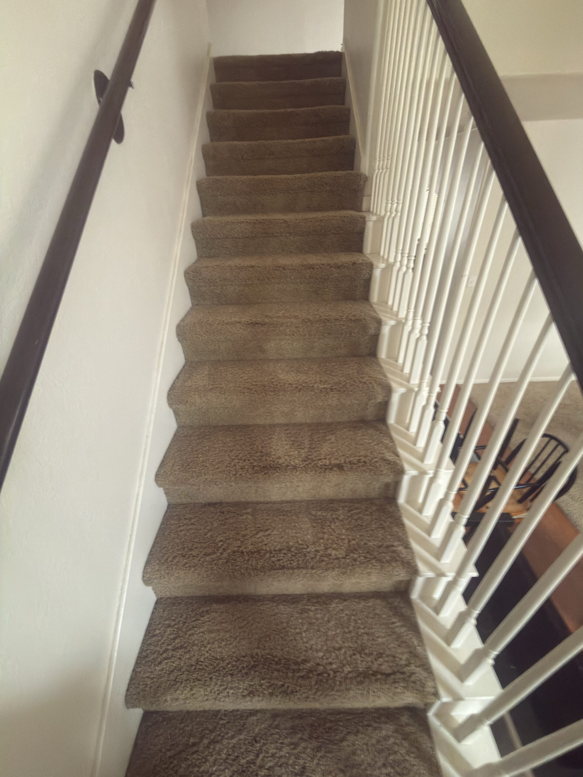 upholstery-cleaning-results-tomball-tx-case-study