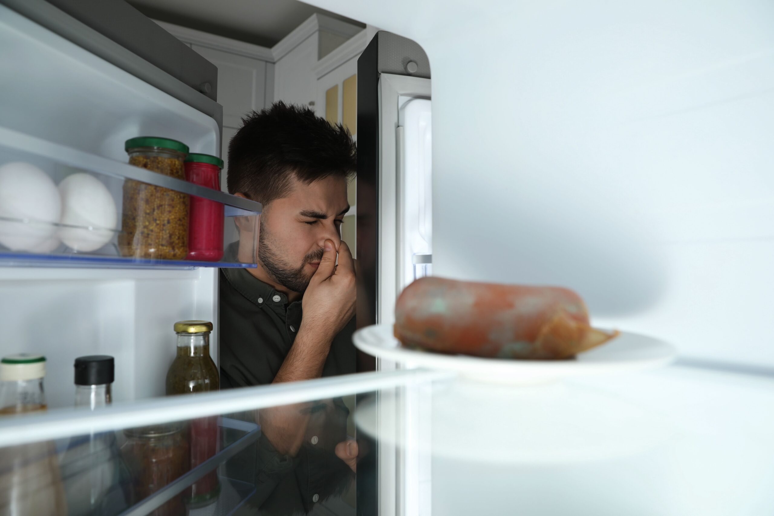 Rotten Food Fridge