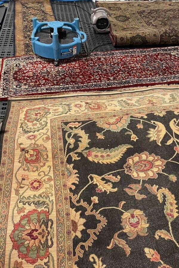 Area Rug Cleaning in Pattison TX