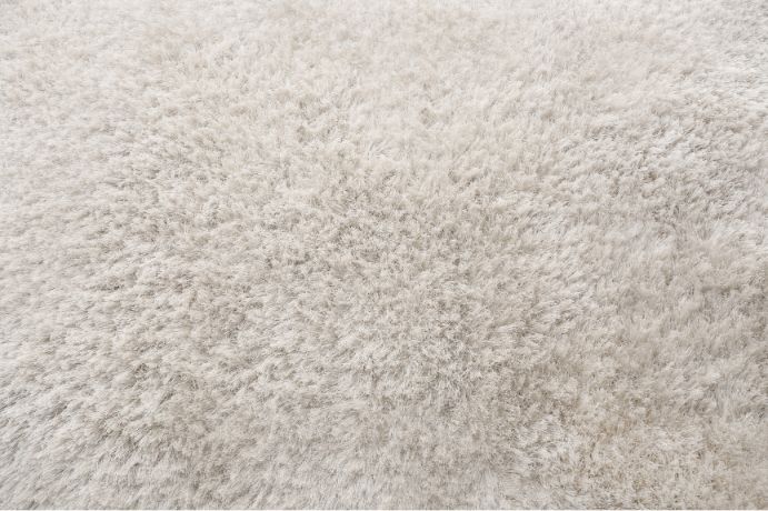 Best Carpet Cleaning Company