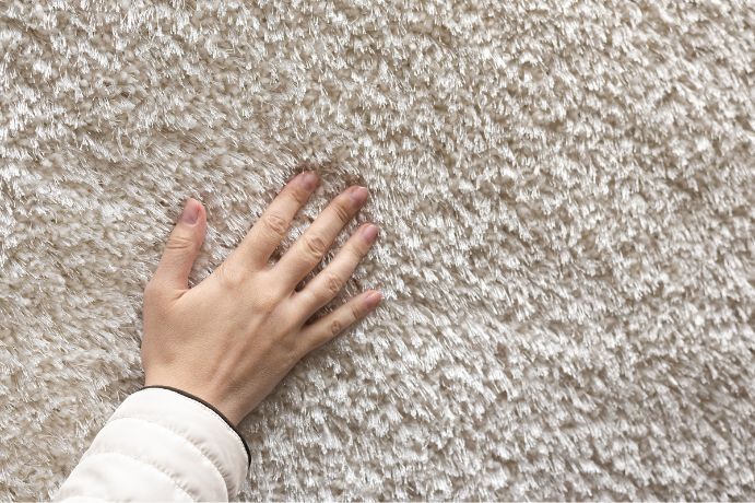 Carpet Cleaning How Often Should I Clean My Carpet