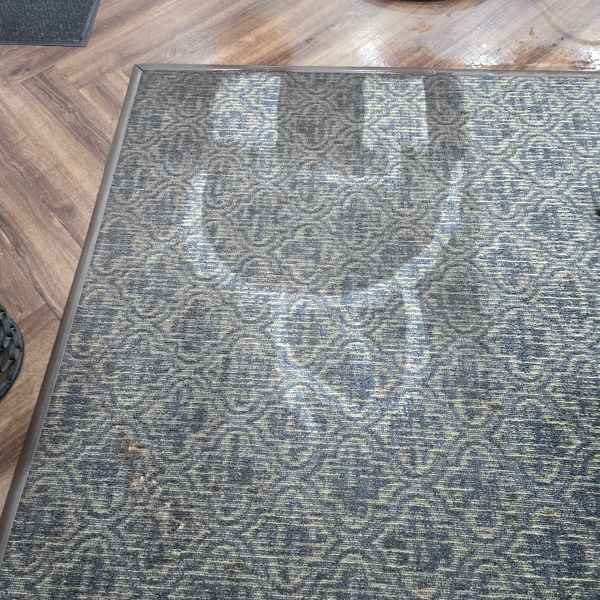 Carpet Cleaning Results