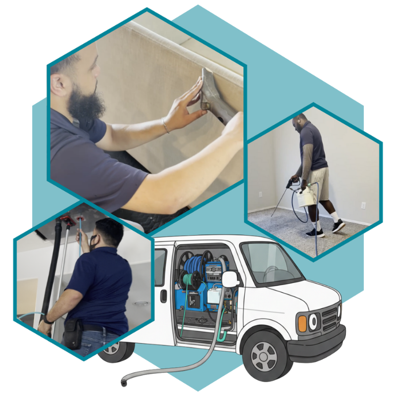 Local Carpet Cleaning Services