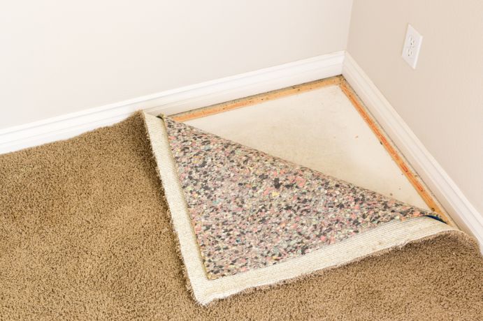 Moldy Carpets How To Treat