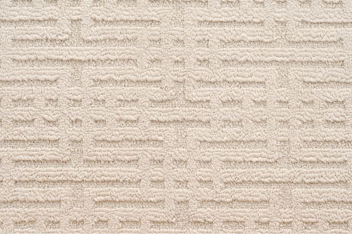 Same Day Carpet Cleaning When Your In A Rush Heres What You Need To Do 1
