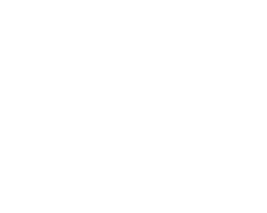 Top Carpet Cleaner in Katy