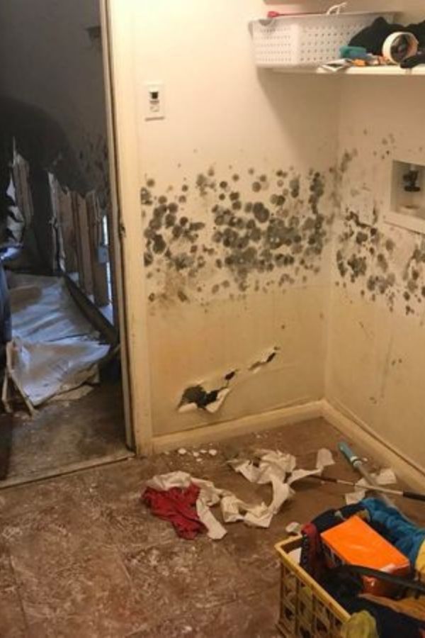 Water damage Restoration in Jersey Village TX